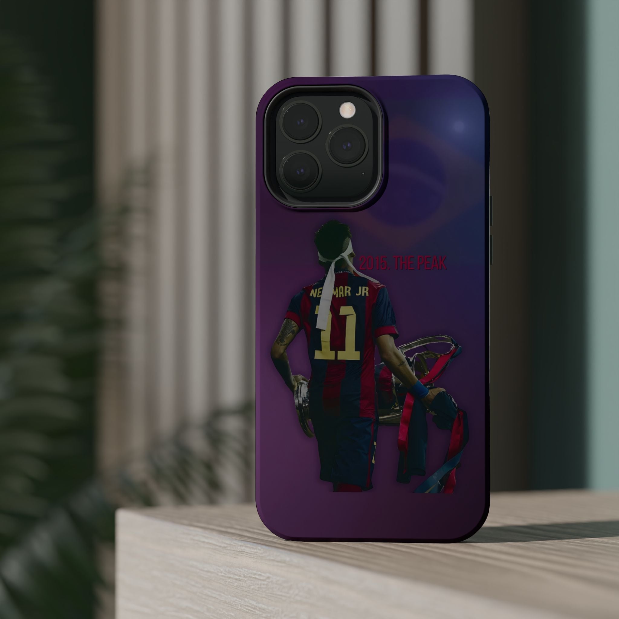 2015 The Peak Tough Magnetic Case for iPhone